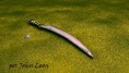 /album/fotogaleria-galeria/swordcurve-johnleon-jpg/
